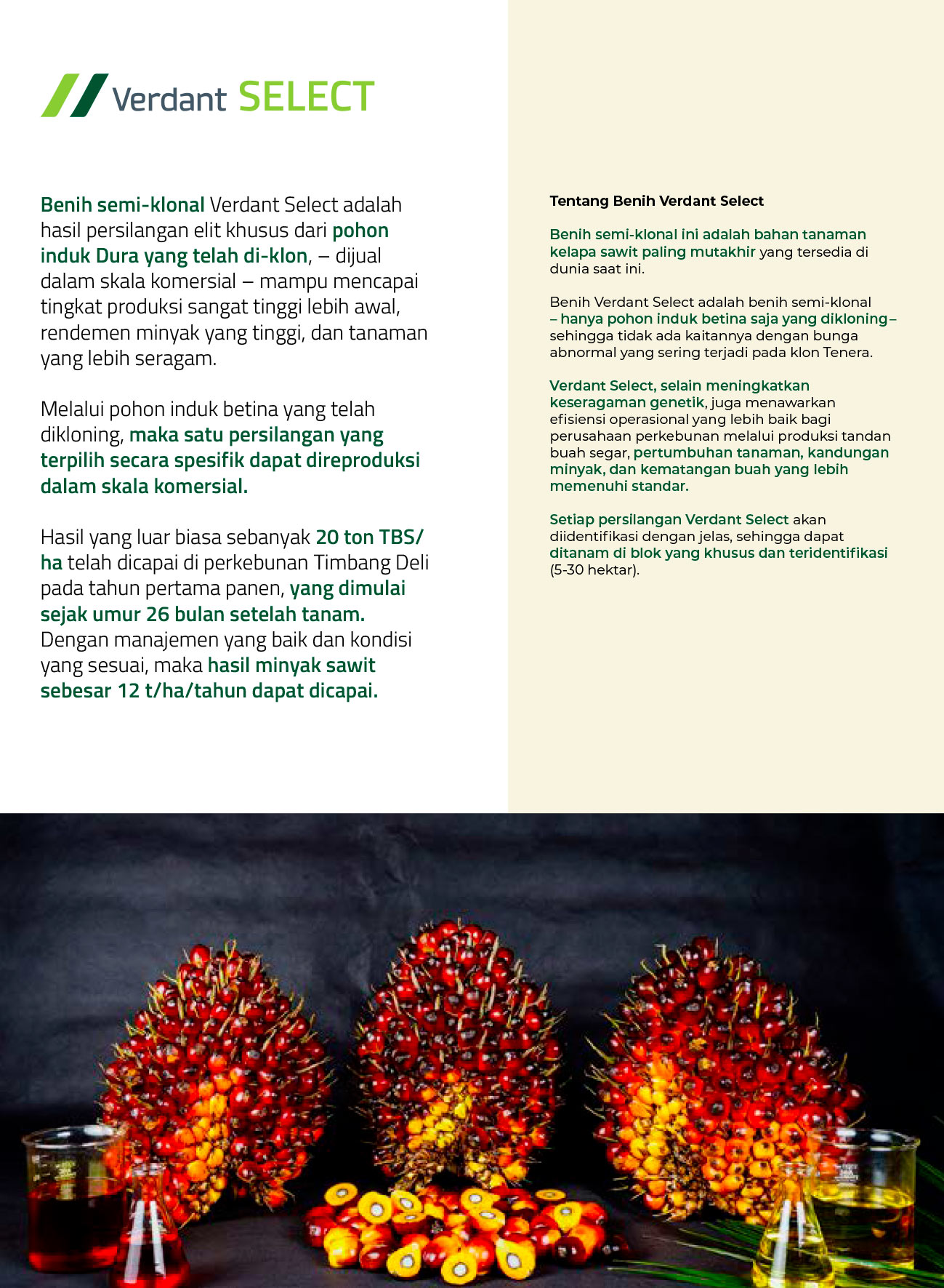 page10