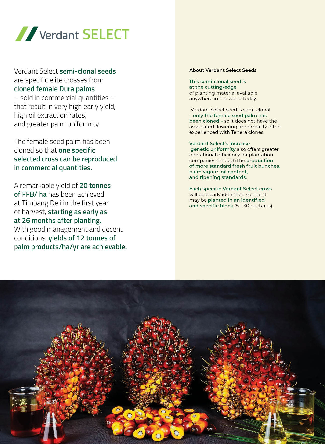 page10