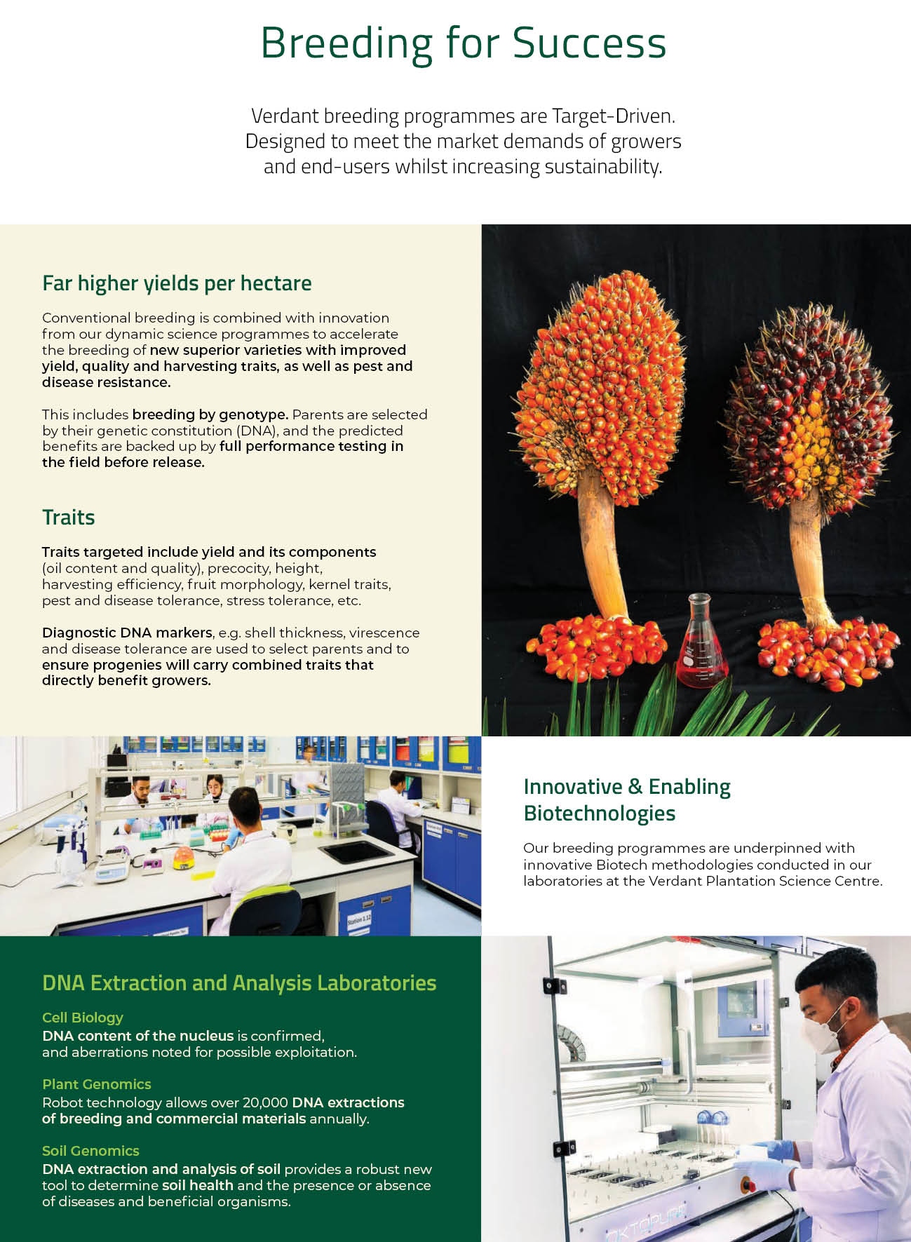 page7